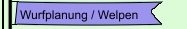 Wurfplanung / Welpen